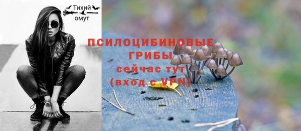 марки lsd Горно-Алтайск