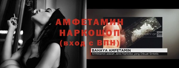 ГАЛЛЮЦИНОГЕННЫЕ ГРИБЫ Осинники
