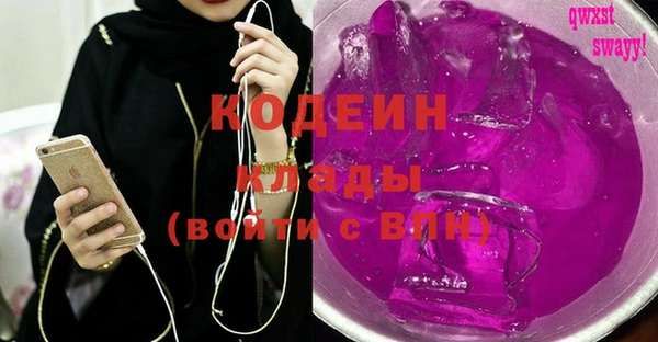 шишки Вяземский