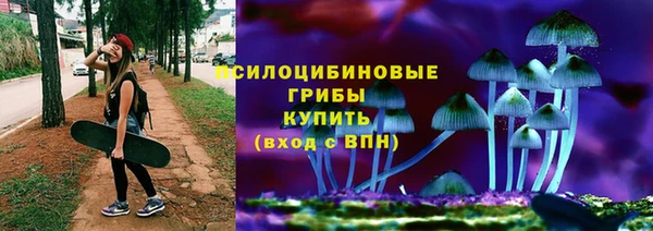 шишки Вяземский