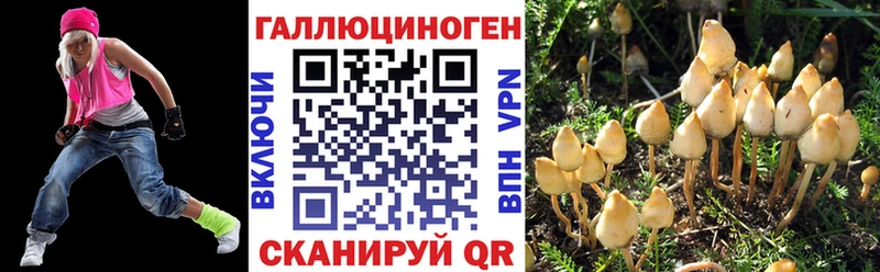 Купить  Луза  Галлюциногенные грибы GOLDEN TEACHER 